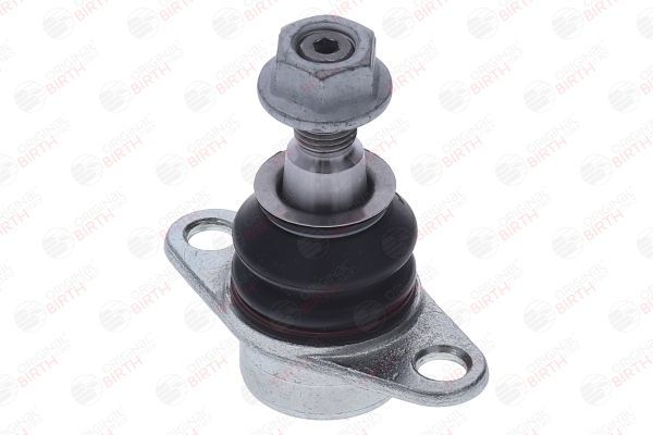 Šarnyras / girgždukas BIRTH CX9330