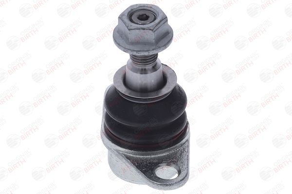 Šarnyras / girgždukas BIRTH CX9330