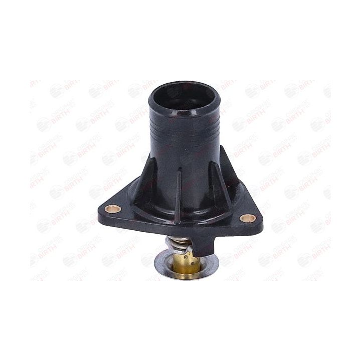 Aušinimo skysčio jungė BIRTH 81811