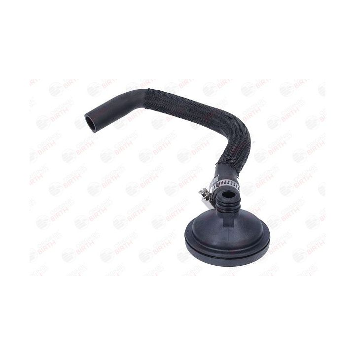 Alyvos atskyriklis, karterio alsuoklis BIRTH 80965