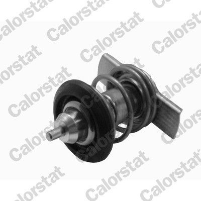 Termostatas, aušinimo skystis CALORSTAT by Vernet THK7424.88J