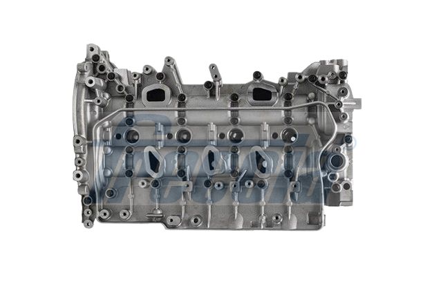 Cilindro galvutė FRECCIA CH17-1065