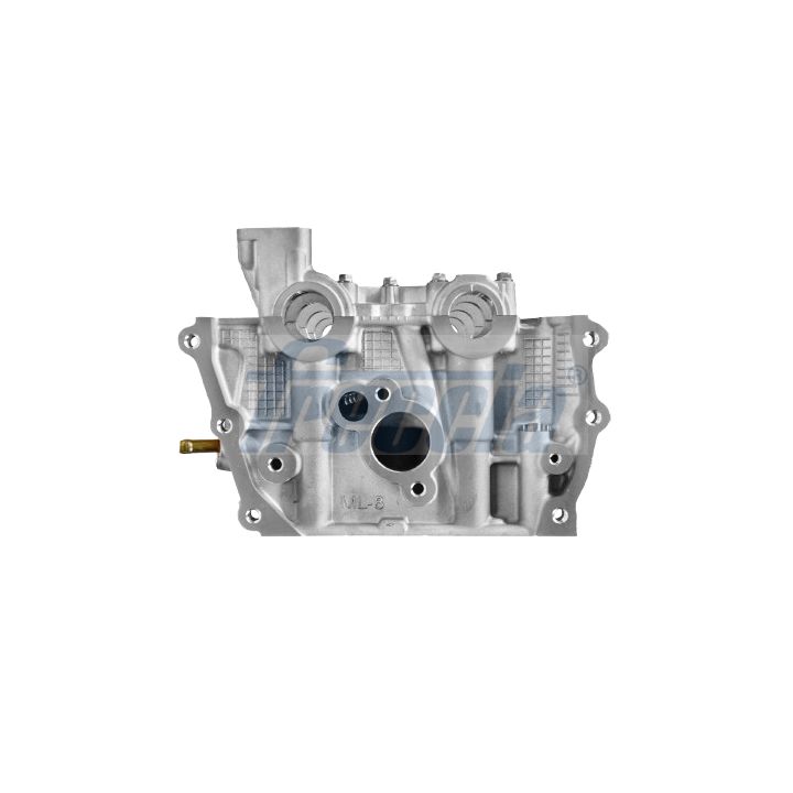 Cilindro galvutė FRECCIA CH17-1091