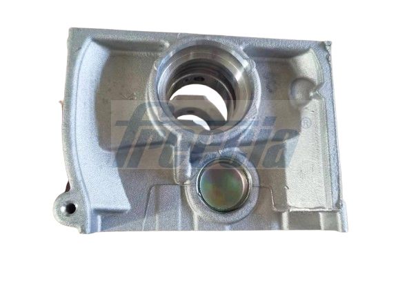 Cilindro galvutė FRECCIA CH17-1092