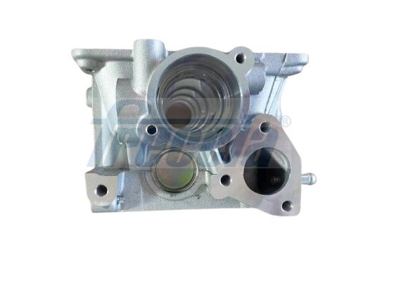 Cilindro galvutė FRECCIA CH17-1092