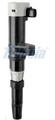 Ritė, uždegimas FRECCIA IC15-1131