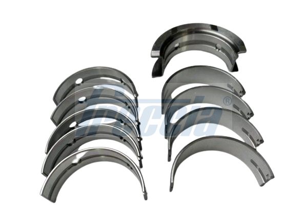 Alkūninio veleno guolių rinkinys FRECCIA MB19-101907