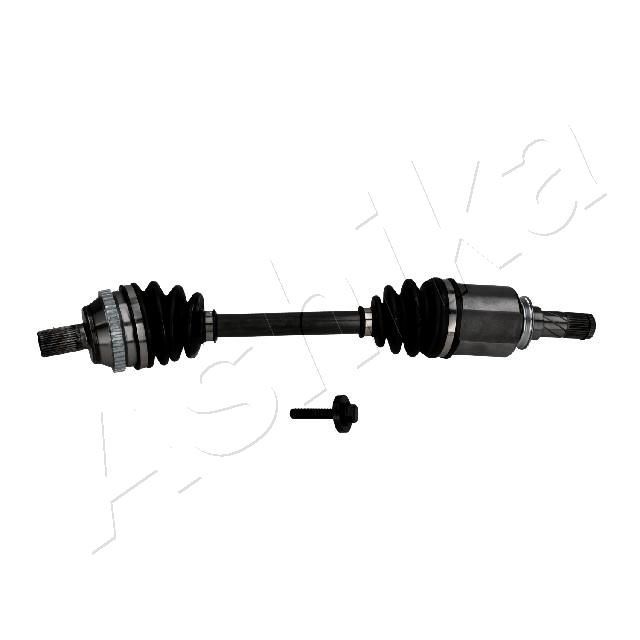 Pusašis ASHIKA 62-0M-M04