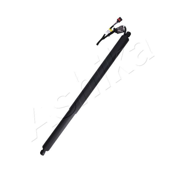 Dujinė spyruoklė, bagažinė ASHIKA ZA-LR02