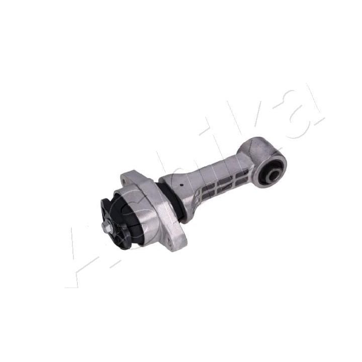 Variklio montavimas ASHIKA GOM-H309