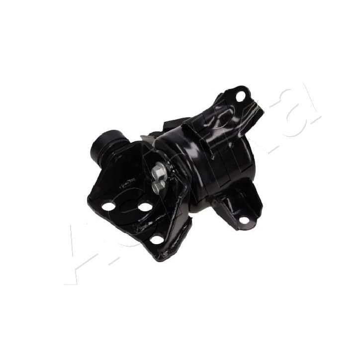 Variklio montavimas ASHIKA GOM-H336