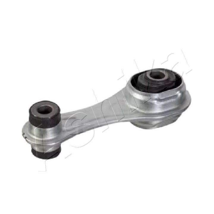 Variklio montavimas ASHIKA GOM-M12