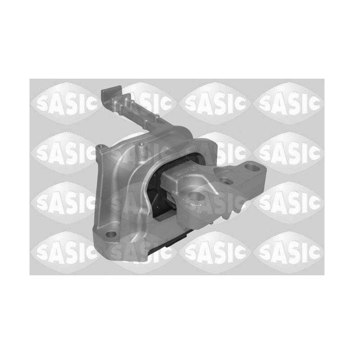 Variklio montavimas SASIC 2706604