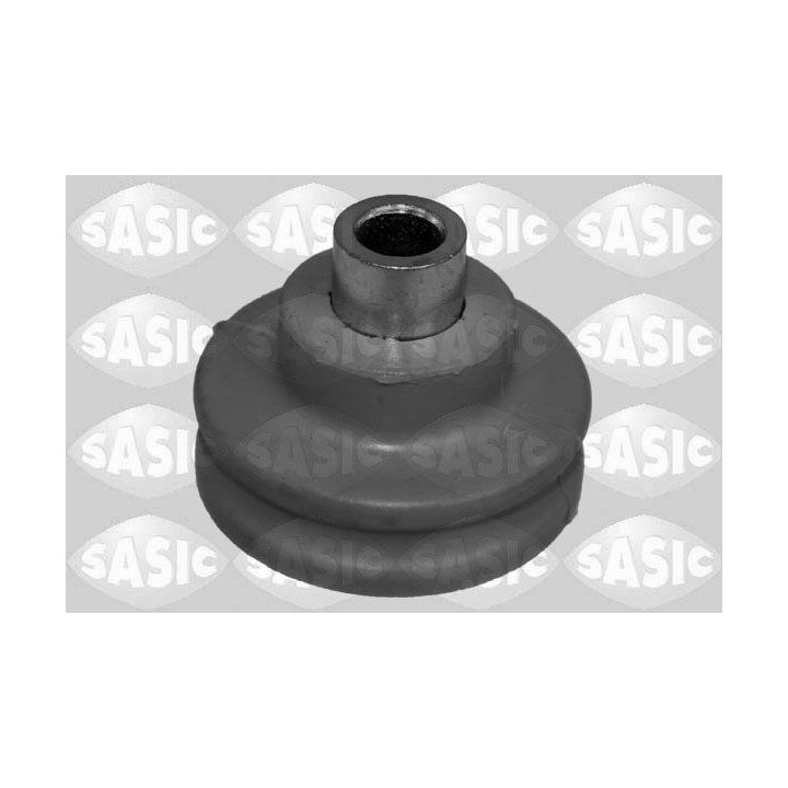 Pakabos statramsčio atraminis guolis SASIC 2656188