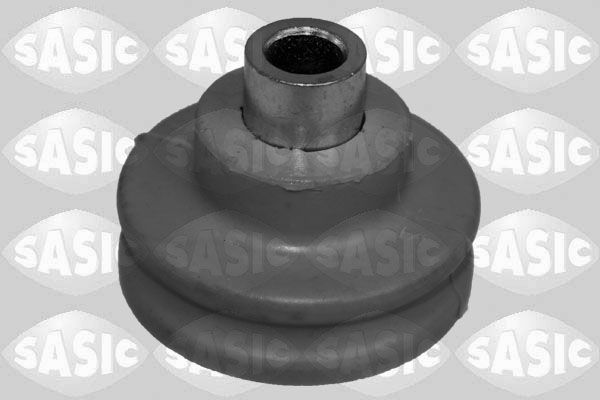 Pakabos statramsčio atraminis guolis SASIC 2656188