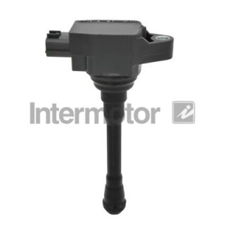 Ritė, uždegimas INTERMOTOR 12292