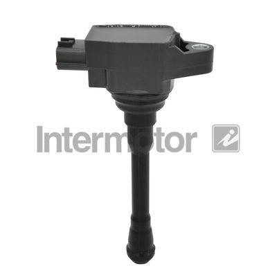 Ritė, uždegimas INTERMOTOR 12292