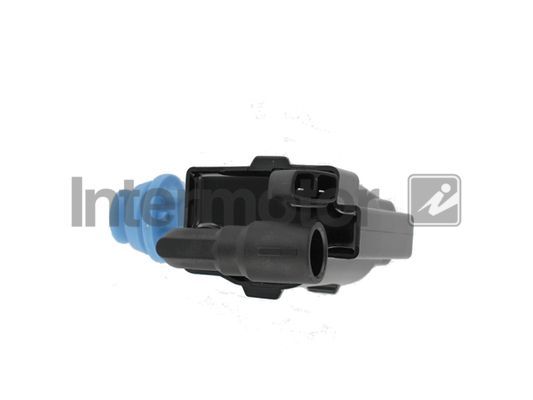 Ritė, uždegimas INTERMOTOR 12295