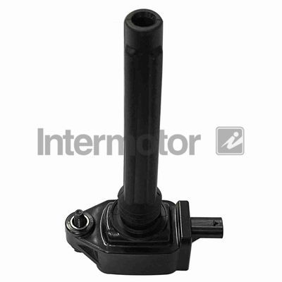 Ritė, uždegimas INTERMOTOR 12324