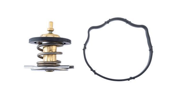 Termostatas, aušinimo skystis MAHLE TX 494 87D