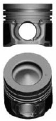 Stūmoklis MAHLE 013 PI 00159 002