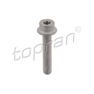 Varžtas TOPRAN 411 097