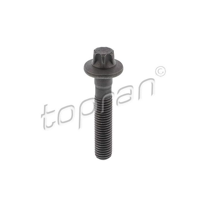 Varžtas, skirstomojo veleno pavara TOPRAN 209 460