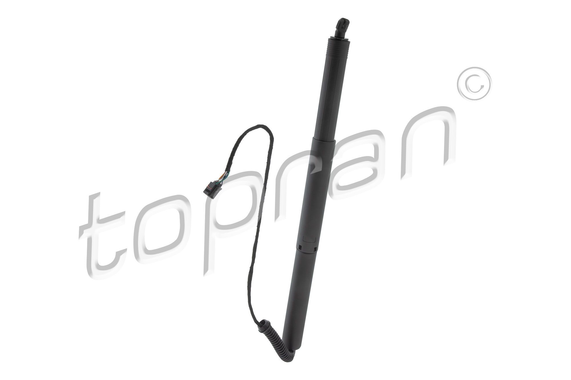 Galinių durų elektros variklis TOPRAN 120 953