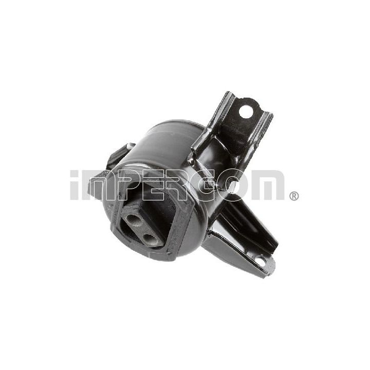 Variklio montavimas ORIGINAL IMPERIUM 610495