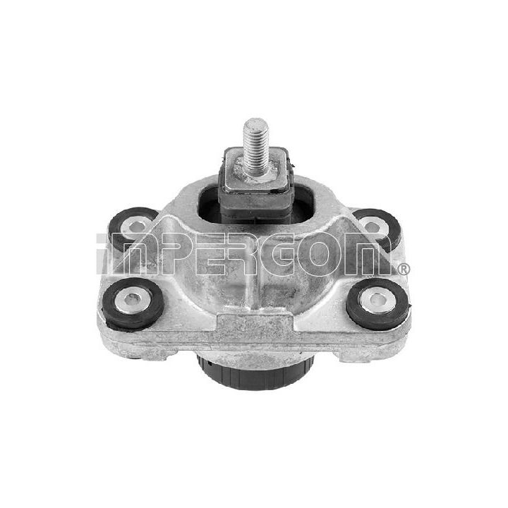 Variklio montavimas ORIGINAL IMPERIUM 610525