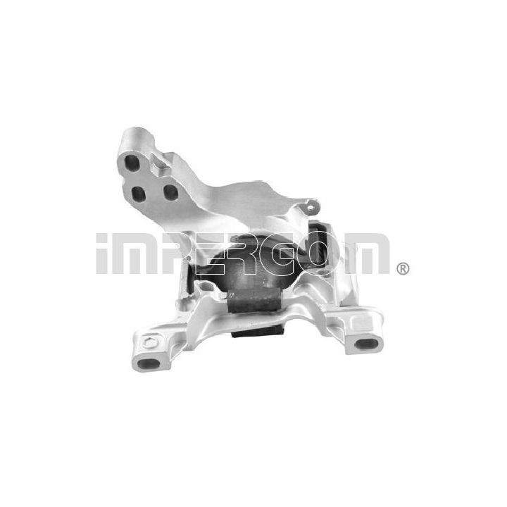 Variklio montavimas ORIGINAL IMPERIUM 610544