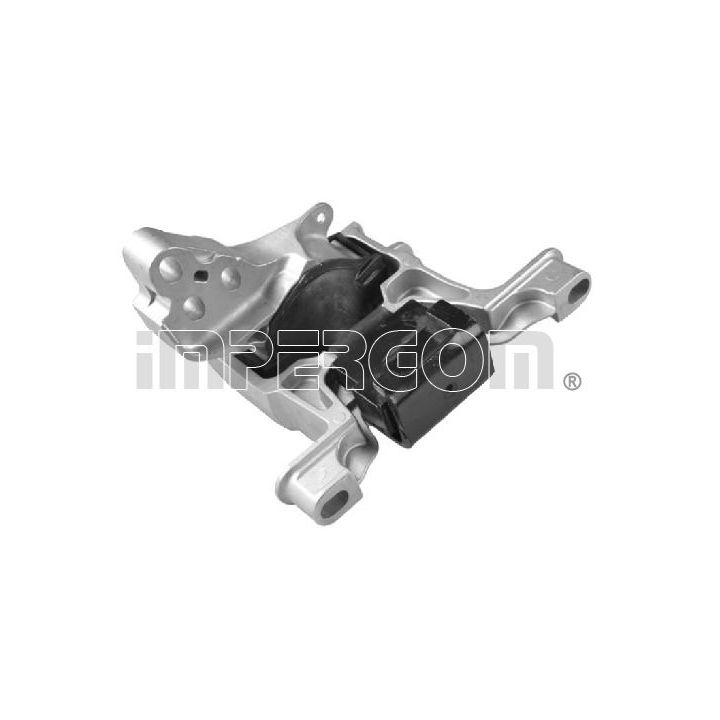 Variklio montavimas ORIGINAL IMPERIUM 610609