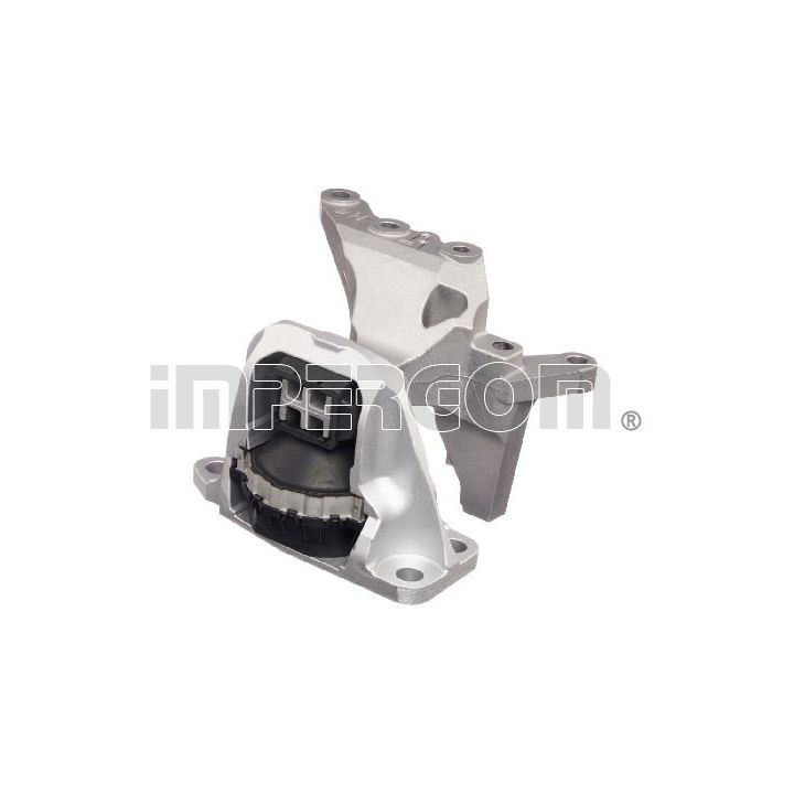 Variklio montavimas ORIGINAL IMPERIUM 610634