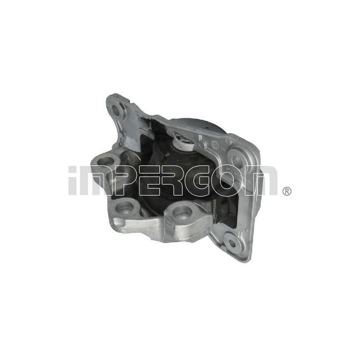 Variklio montavimas ORIGINAL IMPERIUM 610643