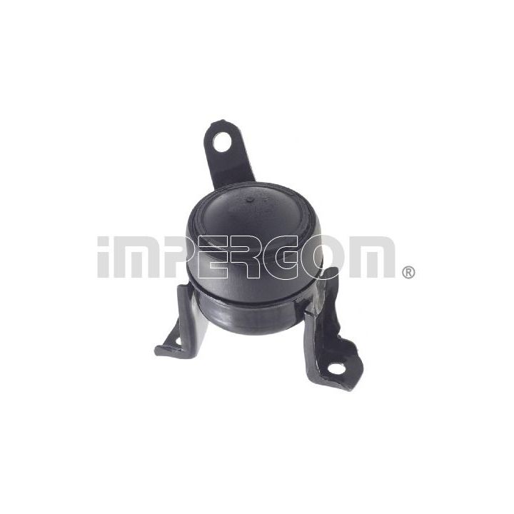 Variklio montavimas ORIGINAL IMPERIUM 610665