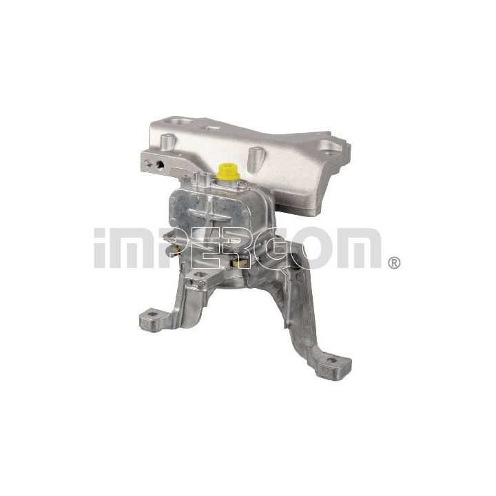 Variklio montavimas ORIGINAL IMPERIUM 610669