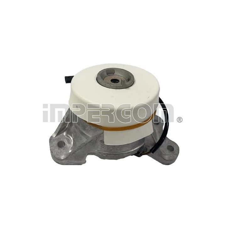 Variklio montavimas ORIGINAL IMPERIUM 610683