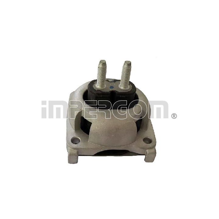 Variklio montavimas ORIGINAL IMPERIUM 610690