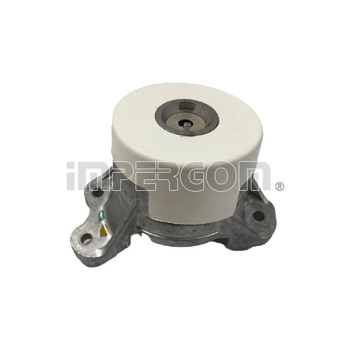 Variklio montavimas ORIGINAL IMPERIUM 610696