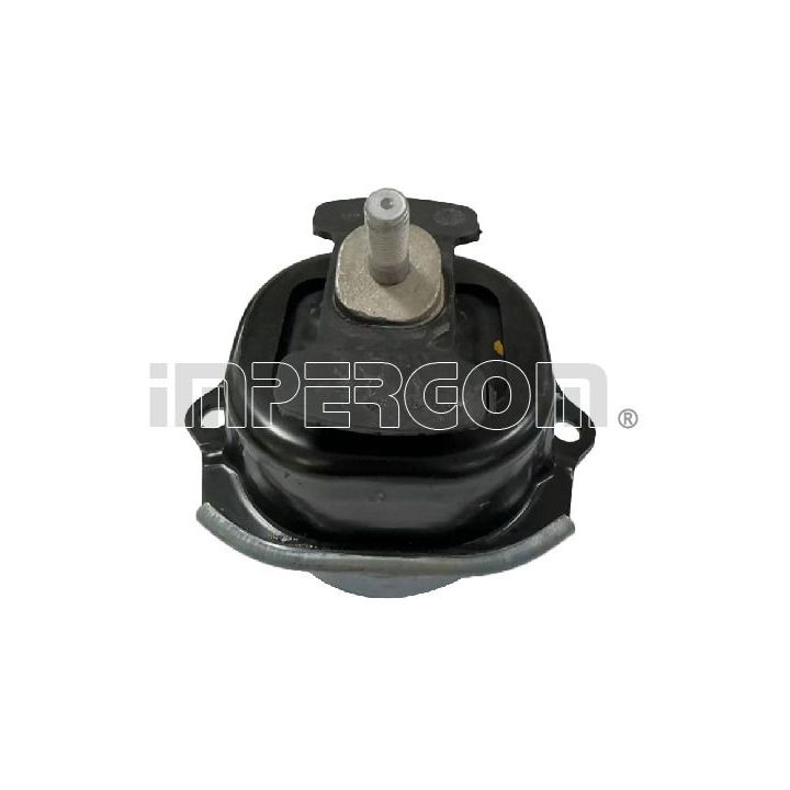 Variklio montavimas ORIGINAL IMPERIUM 610697