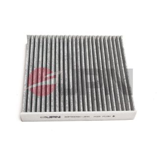 Filtras, salono oras JPN 40F5009C-JPN