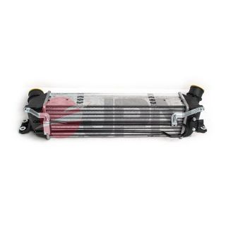 Tarpinis suslėgto oro aušintuvas, kompresorius JPN 60C9305-JPN