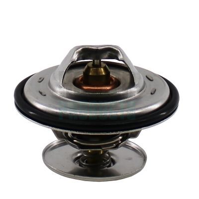 Termostatas, aušinimo skystis HOFFER 81921055
