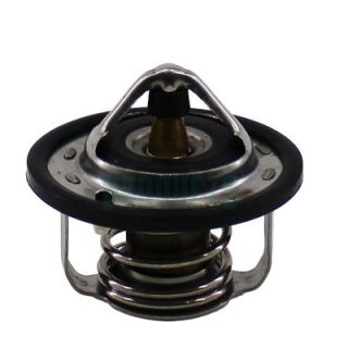 Termostatas, aušinimo skystis HOFFER 8192478