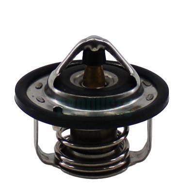 Termostatas, aušinimo skystis HOFFER 8192478