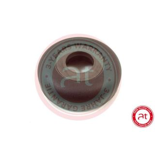 Frikcinis guolis, pakabos statramsčio atramos montavimas at autoteile germany at11361