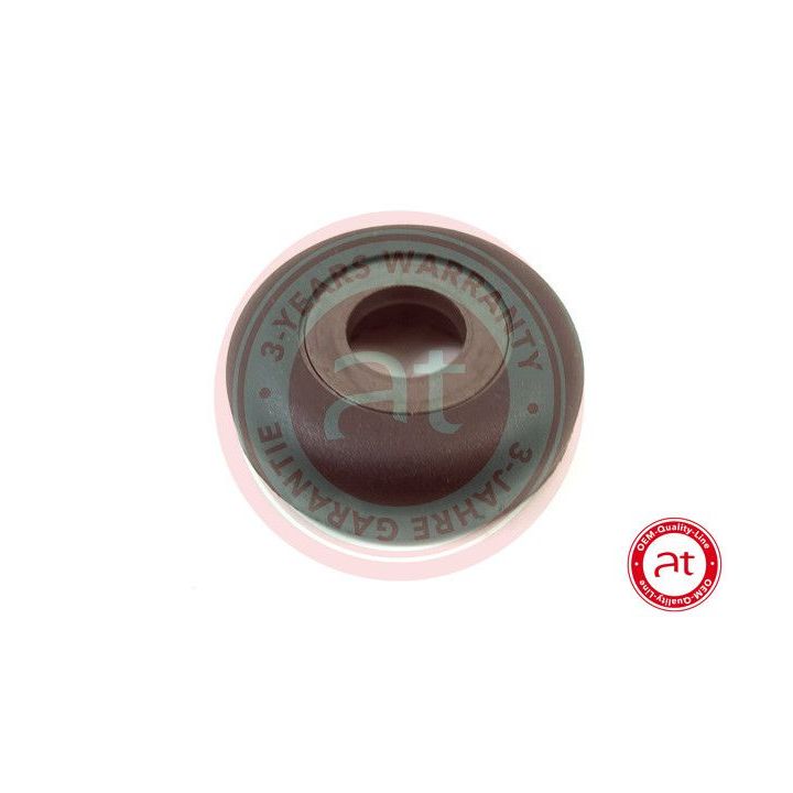 Frikcinis guolis, pakabos statramsčio atramos montavimas at autoteile germany at11361