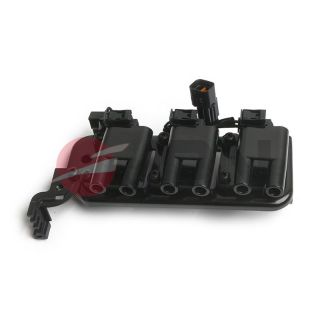 Ritė, uždegimas JPN 70E0317-JPN