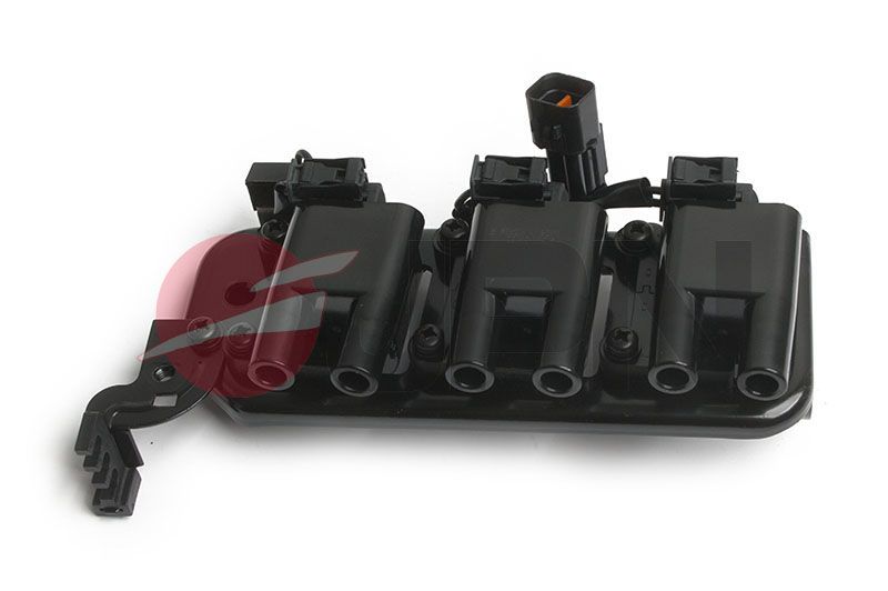 Ritė, uždegimas JPN 70E0317-JPN