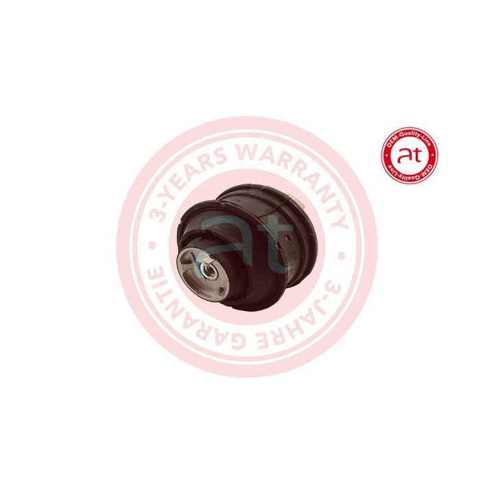 Variklio montavimas at autoteile germany at11667